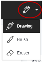 Bb Annotate Drawing and Brush Tool options