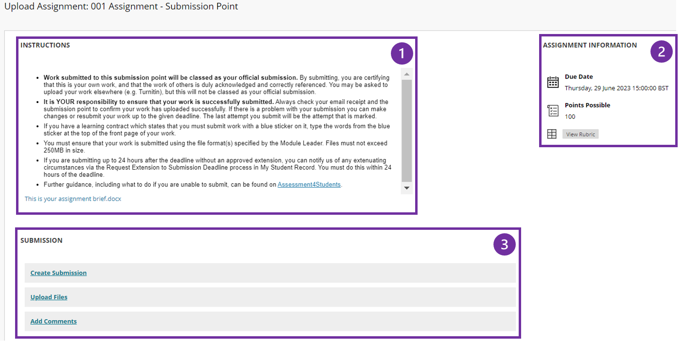 New Blackboard assignment submission page